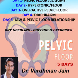 Pelvic Floor Workshop