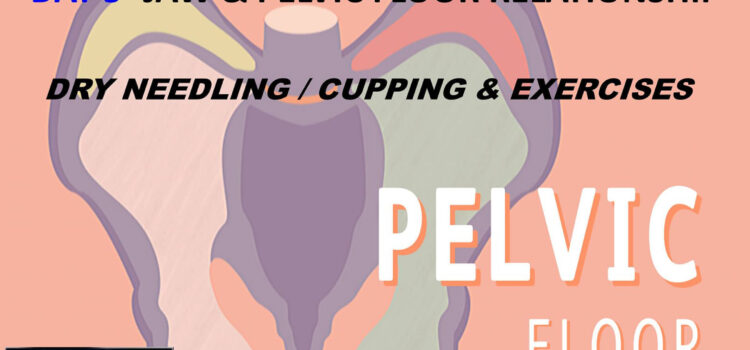 Pelvic Floor Workshop