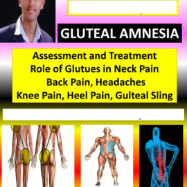 Gluteal Amnesia Workshop